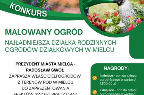 Malowany-Ogród-2024-plakat